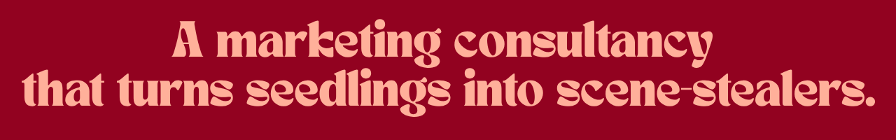 A marketing consultancy that turns seedlings into scene-stealers.